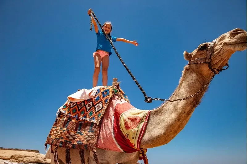 viaggio organizzato marocco